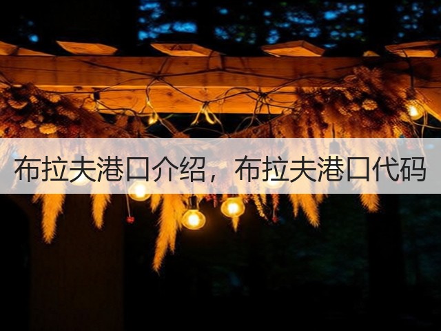 布拉夫港口介绍,布拉夫港口代码(图1) 布拉夫港口介绍,布拉夫港口代码(图1)
