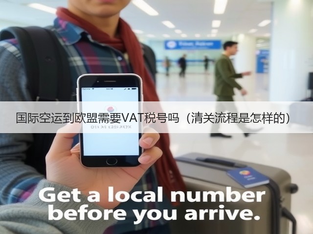 国际空运到欧盟需要VAT税号吗（清关流程是怎样的）(图3)