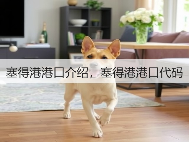 塞得港港口介绍,塞得港港口代码(图1) 塞得港港口介绍,塞得港港口代码(图1)