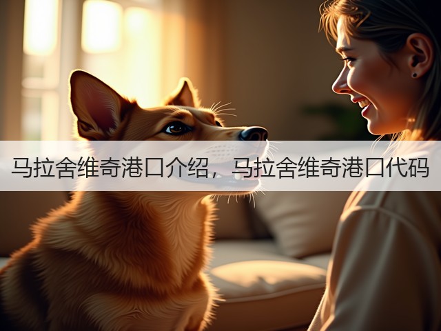 马拉舍维奇港口介绍，马拉舍维奇港口代码(图3)