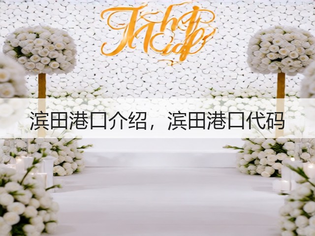 滨田港口介绍，滨田港口代码(图3)