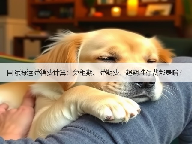 国际海运滞箱费计算：免租期、滞期费、超期堆存费都是啥？(图3)
