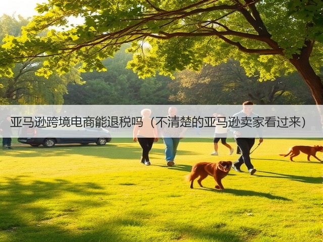 亚马逊跨境电商能退税吗（不清楚的亚马逊卖家看过来）(图1)