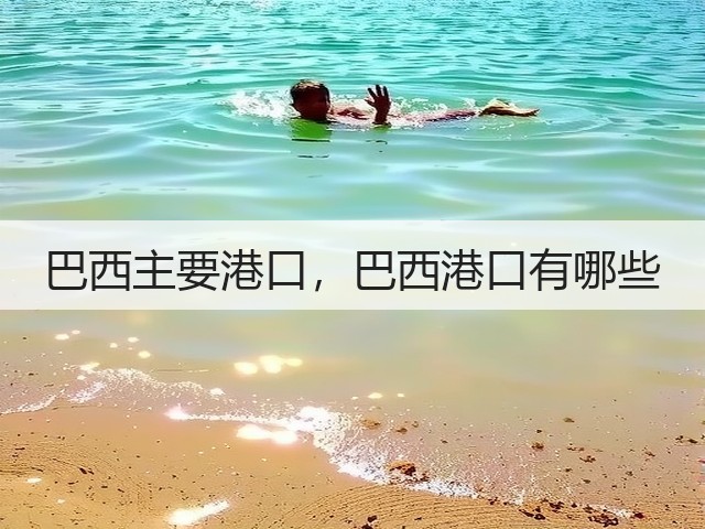 巴西主要港口，巴西港口有哪些(图1)