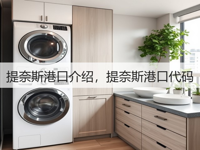 提奈斯港口介绍，提奈斯港口代码(图1)