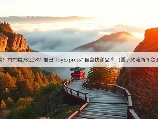 重磅！京东物流在沙特 推出JoyExpress 自营快递品牌 （国际物流新闻资讯）(图3)