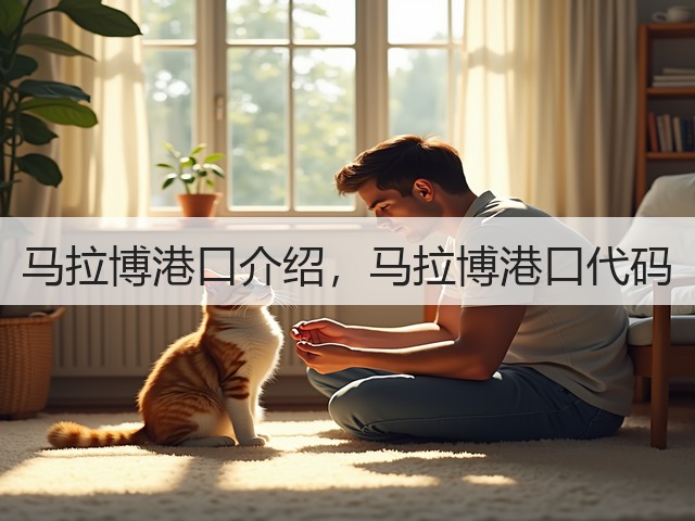 马拉博港口介绍，马拉博港口代码(图3)