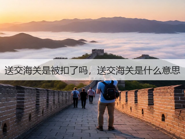送交海关是被扣了吗，送交海关是什么意思(图2)