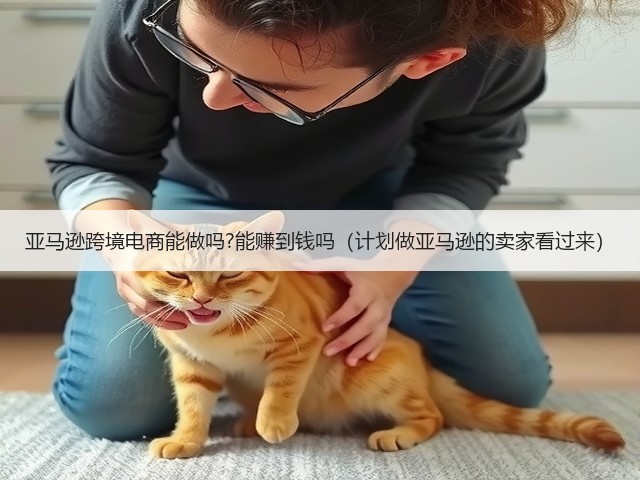 亚马逊跨境电商能做吗?能赚到钱吗(计划做亚马逊的卖家看过来)(图3) 亚马逊跨境电商能做吗?能赚到钱吗(计划做亚马逊的卖家看过来)(图3)