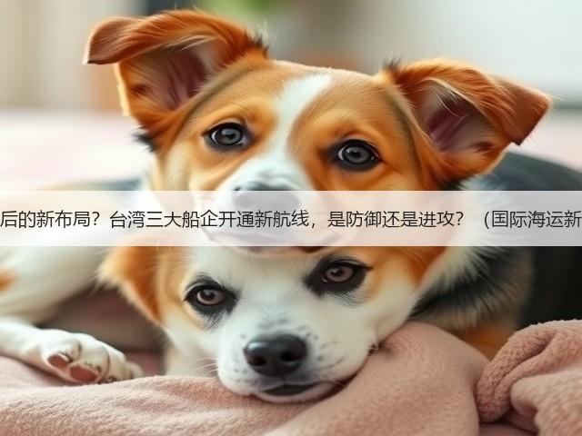 红海危机后的新布局？台湾三大船企开通新航线，是防御还是进攻？（国际海运新闻资讯）(图2)