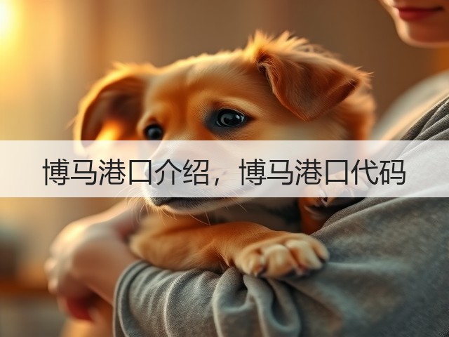 博马港口介绍，博马港口代码(图1)