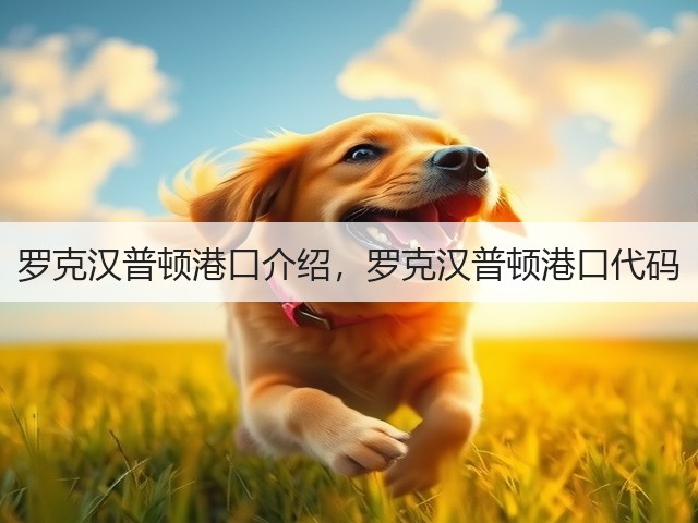 罗克汉普顿港口介绍,罗克汉普顿港口代码(图3) 罗克汉普顿港口介绍,罗克汉普顿港口代码(图3)