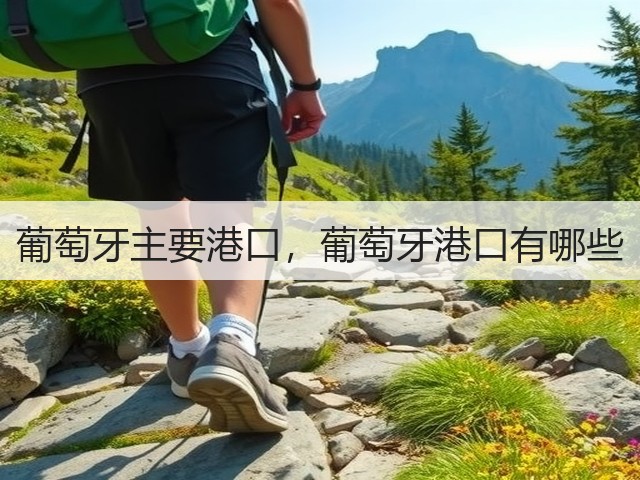 葡萄牙主要港口，葡萄牙港口有哪些(图1)