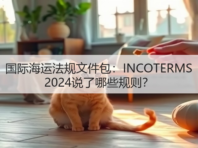 国际海运法规文件包：INCOTERMS 2024说了哪些规则？(图1)