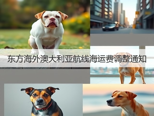 东方海外澳大利亚航线海运费调整通知(图2)