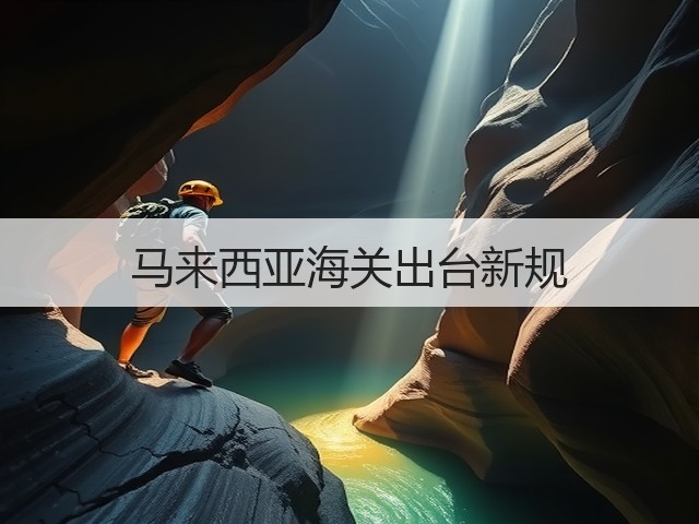 马来西亚海关出台新规(图1)