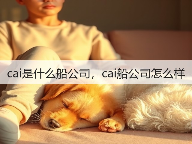 cai是什么船公司，cai船公司怎么样(图3)