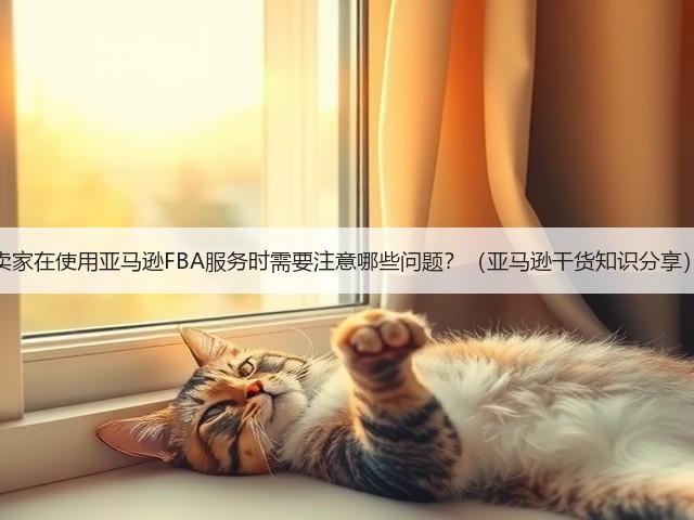 卖家在使用亚马逊FBA服务时需要注意哪些问题？（亚马逊干货知识分享）(图1)