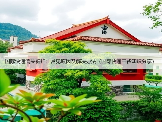 国际快递清关被扣:常见原因及解决办法(国际快递干货知识分享)(图3) 国际快递清关被扣:常见原因及解决办法(国际快递干货知识分享)(图3)