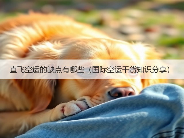 直飞空运的缺点有哪些（国际空运干货知识分享）(图2)