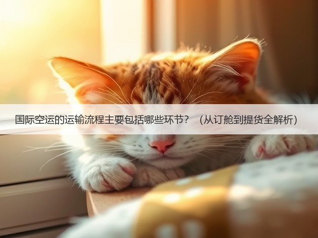 国际空运的运输流程主要包括哪些环节？（从订舱到提货全解析）(图1)