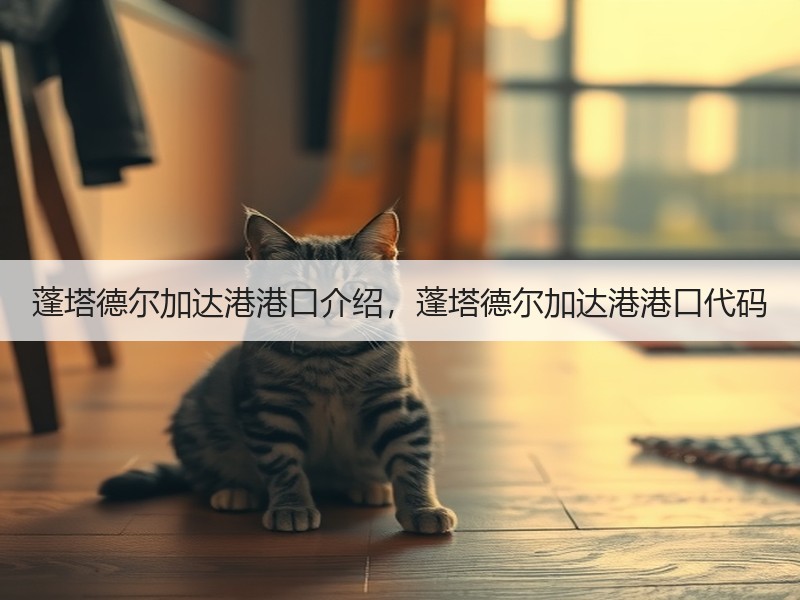 蓬塔德尔加达港港口介绍，蓬塔德尔加达港港口代码
