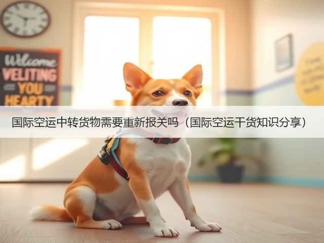 国际空运中转货物需要重新报关吗（国际空运干货知识分享）(图1)