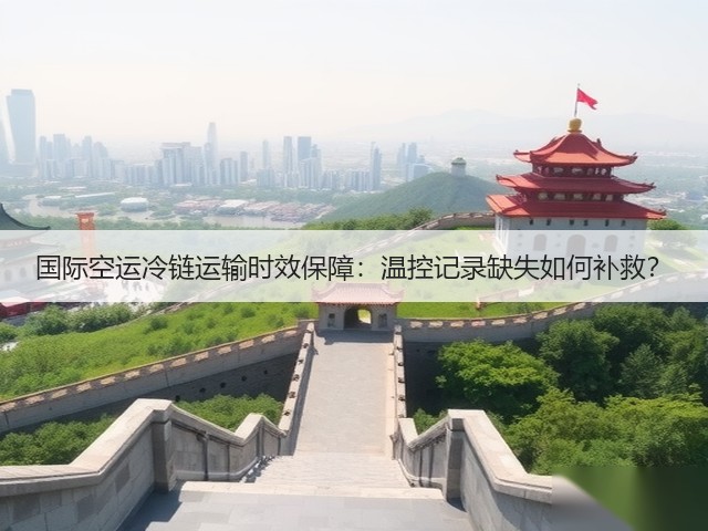 国际空运冷链运输时效保障：温控记录缺失如何补救？(图3)