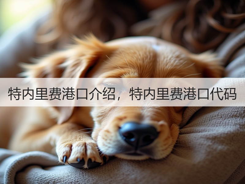 特内里费港口介绍,特内里费港口代码 特内里费港口介绍,特内里费港口代码