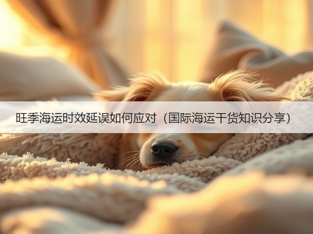 旺季海运时效延误如何应对（国际海运干货知识分享）(图3)