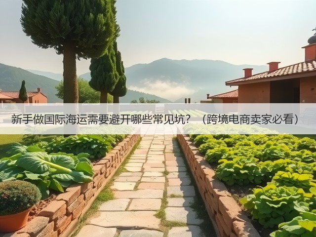 新手做国际海运需要避开哪些常见坑？（跨境电商卖家必看）(图2)