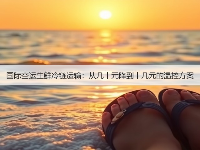 国际空运生鲜冷链运输:从几十元降到十几元的温控方案(图1) 国际空运生鲜冷链运输:从几十元降到十几元的温控方案(图1)