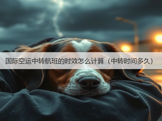 国际空运中转航班的时效怎么计算（中转时间多久）(图3)