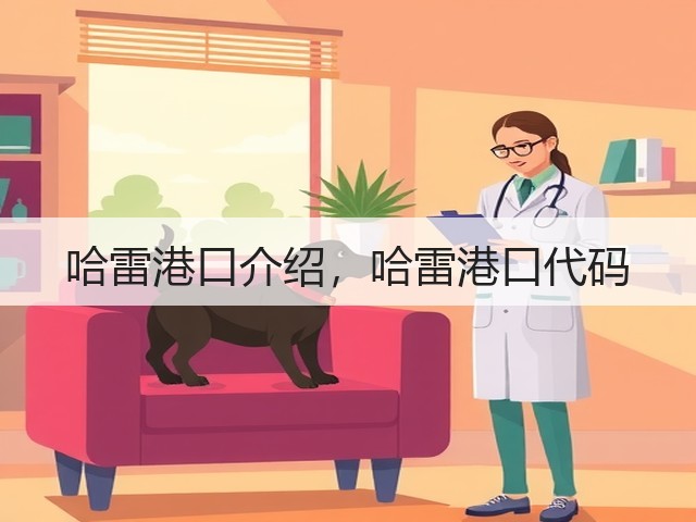 哈雷港口介绍，哈雷港口代码(图2)