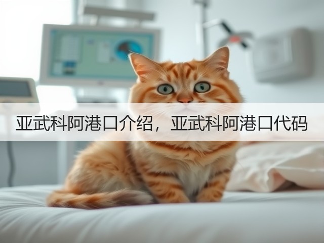 亚武科阿港口介绍,亚武科阿港口代码(图2) 亚武科阿港口介绍,亚武科阿港口代码(图2)
