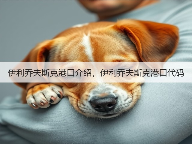 伊利乔夫斯克港口介绍，伊利乔夫斯克港口代码(图2)