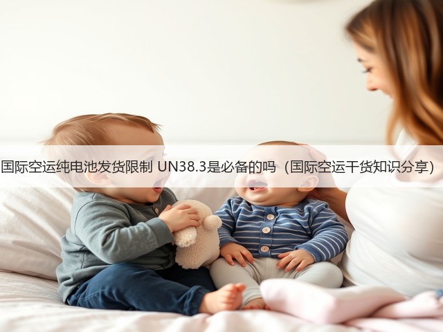 国际空运纯电池发货限制 UN38.3是必备的吗（国际空运干货知识分享）(图3)