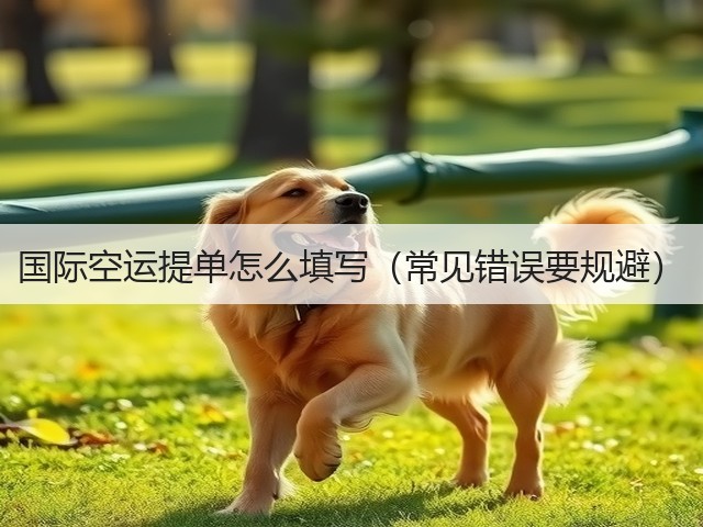 国际空运提单怎么填写（常见错误要规避）(图3)