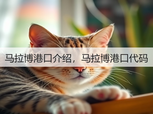 马拉博港口介绍，马拉博港口代码(图2)