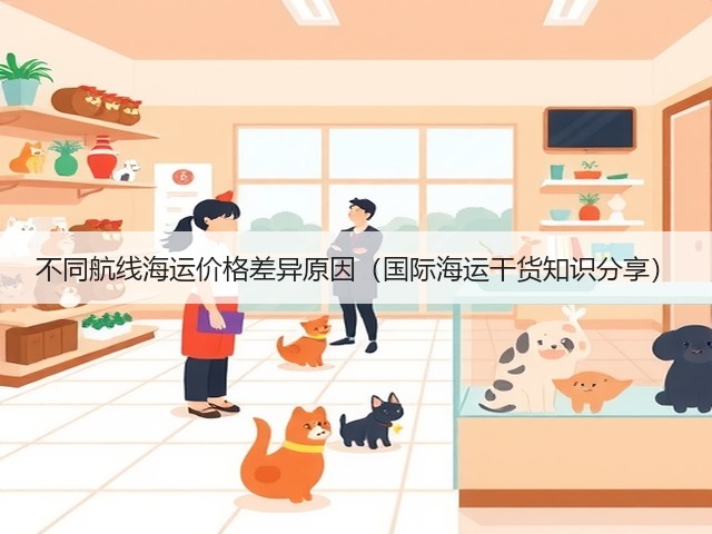 不同航线海运价格差异原因（国际海运干货知识分享）(图2)