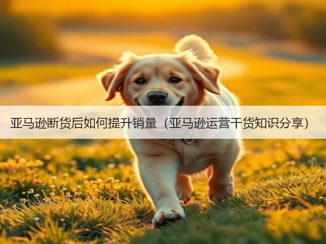 亚马逊断货后如何提升销量(亚马逊运营干货知识分享)(图3) 亚马逊断货后如何提升销量(亚马逊运营干货知识分享)(图3)