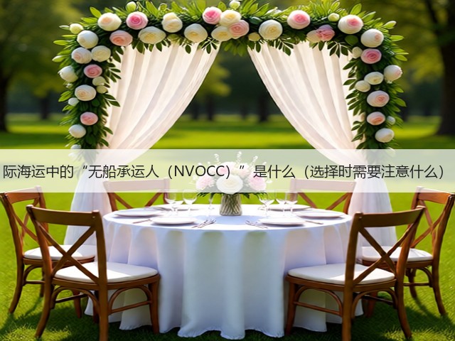 际海运中的“无船承运人（NVOCC）”是什么（选择时需要注意什么）(图2)