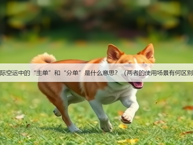 国际空运中的“主单”和“分单”是什么意思？（两者的使用场景有何区别）(图3)