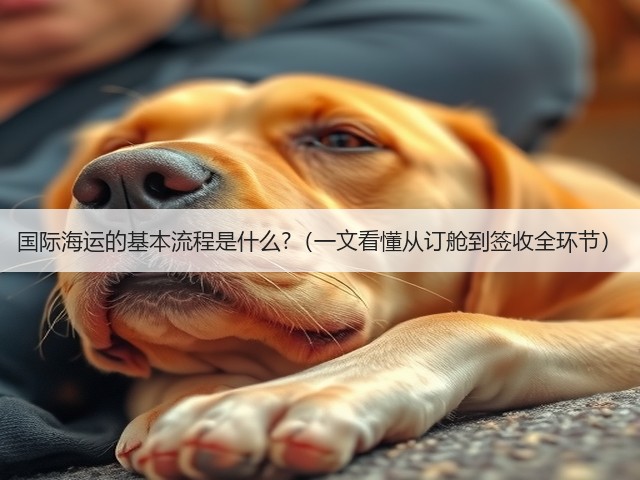 国际海运的基本流程是什么?(一文看懂从订舱到签收全环节)(图1) 国际海运的基本流程是什么?(一文看懂从订舱到签收全环节)(图1)