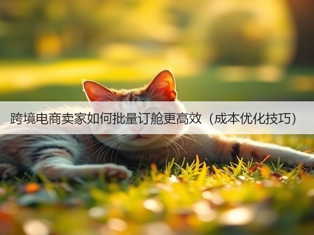 跨境电商卖家如何批量订舱更高效(成本优化技巧)(图3) 跨境电商卖家如何批量订舱更高效(成本优化技巧)(图3)