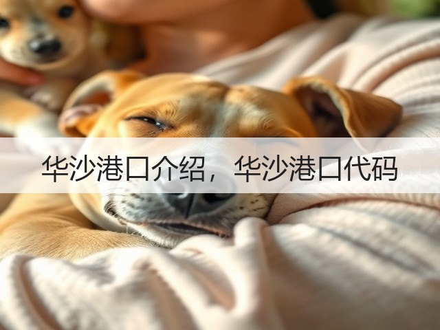 华沙港口介绍，华沙港口代码(图1)