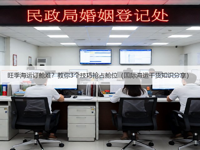 旺季海运订舱难？教你3个技巧抢占舱位（国际海运干货知识分享）(图3)