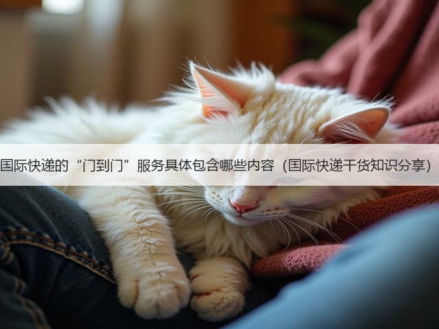 国际快递的“门到门”服务具体包含哪些内容（国际快递干货知识分享）(图2)