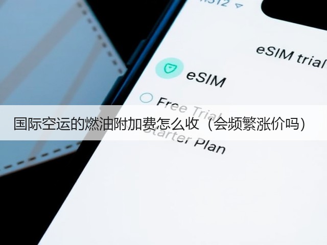 国际空运的燃油附加费怎么收(会频繁涨价吗)(图3) 国际空运的燃油附加费怎么收(会频繁涨价吗)(图3)