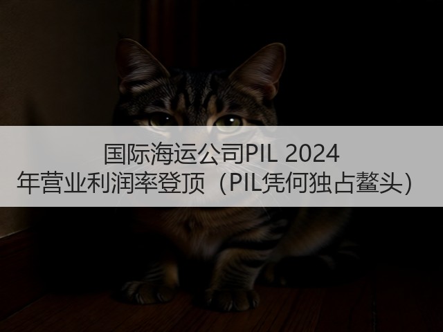 国际海运公司PIL 2024 年营业利润率登顶（PIL凭何独占鳌头）(图1)